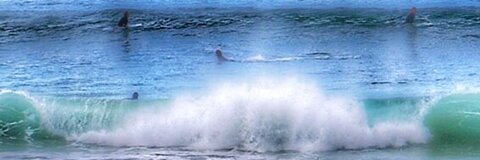 dannika header picture leakfans.com