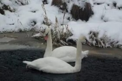 darbiebaby header picture leakfans.com