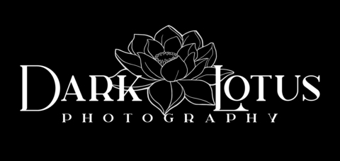 Header of darklotusphoto