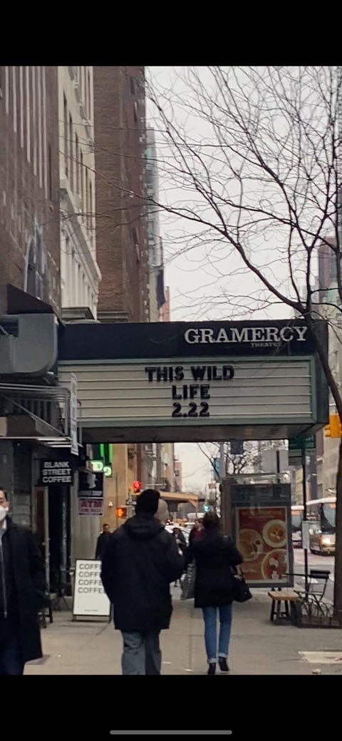 darlingzara header picture leakfans.com