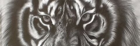 dartsnfarts96 header picture leakfans.com