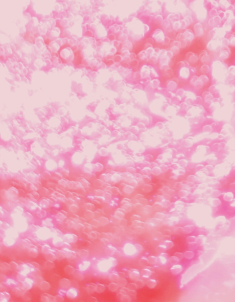 datassp header picture leakfans.com