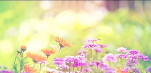 dazed_meadows header picture leakfans.com