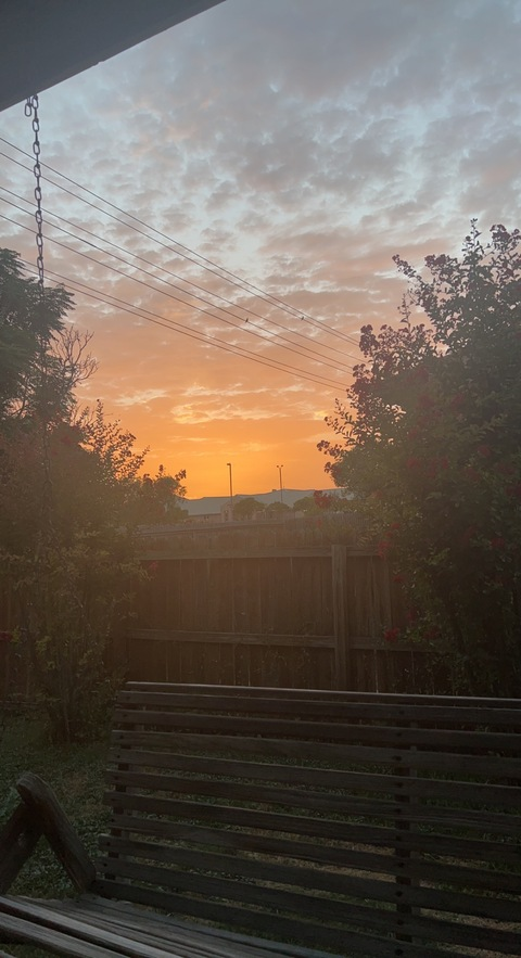 daziedarlin header picture leakfans.com