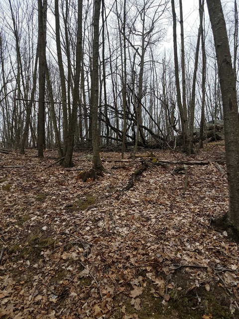 deadrotting header picture leakfans.com