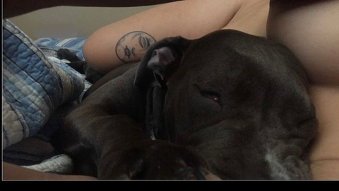 deellovee header picture leakfans.com