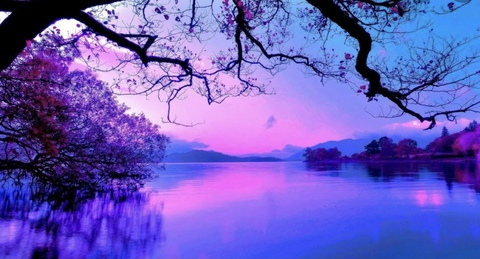 delicatebutdeadly header picture leakfans.com