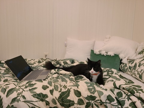 delicateellie header picture leakfans.com