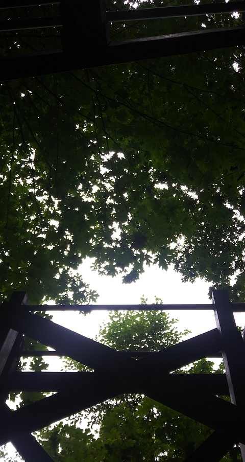 demonfairy666 header picture leakfans.com