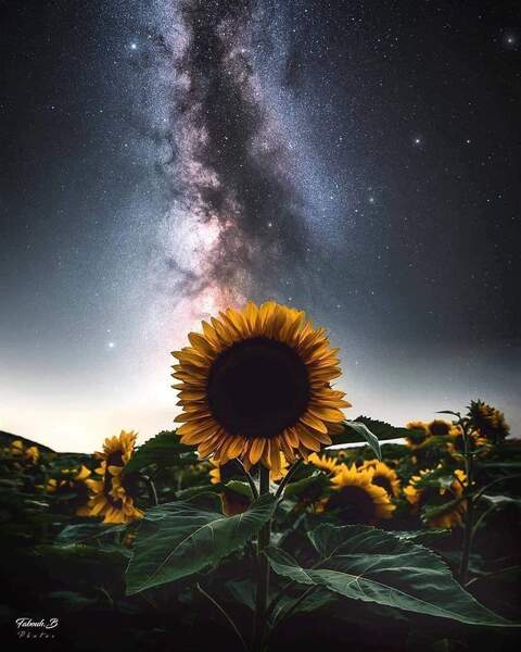 demonkat header picture leakfans.com