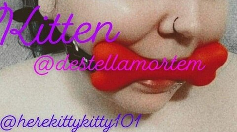 Header of destellamortem