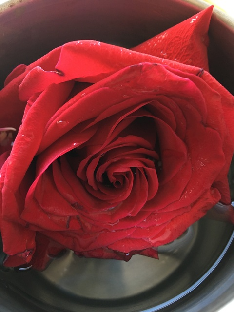 devilslittlebaby97 header picture leakfans.com