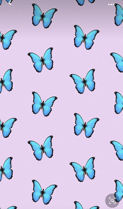 Header of dezzigonzalez