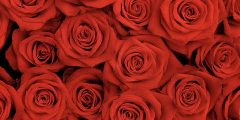 dfuq100 header picture leakfans.com