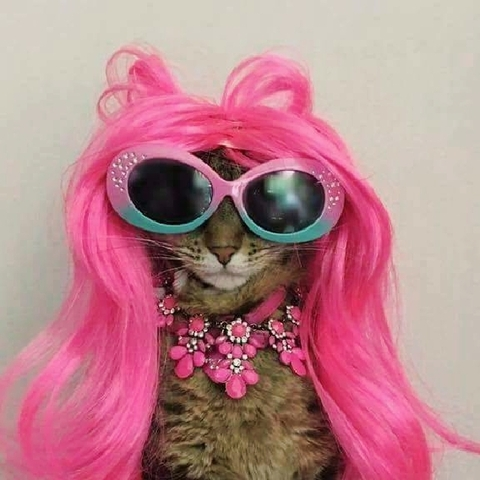 diablorose header picture leakfans.com