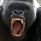 dickhernlickher profile picture leakfans.com