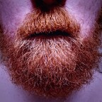 die_rote_bart profile picture leakfans.com