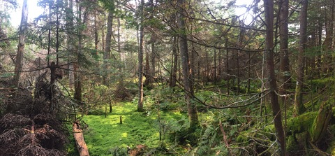 digtlgrl header picture leakfans.com