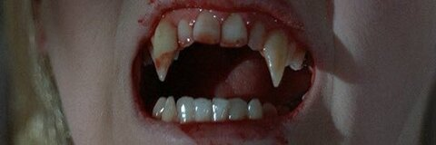 diiinnaa header picture leakfans.com