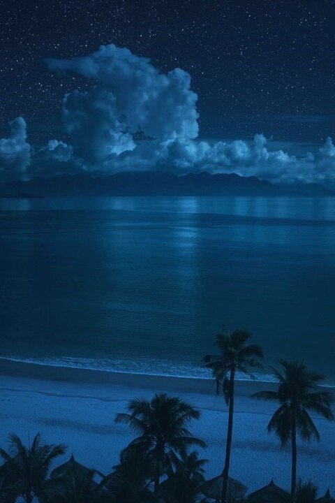 diorsecret header picture leakfans.com