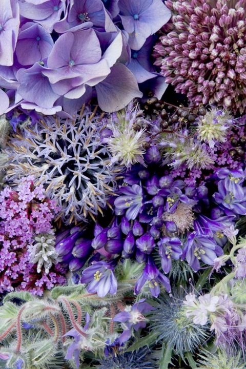 dirtygardenmom header picture leakfans.com