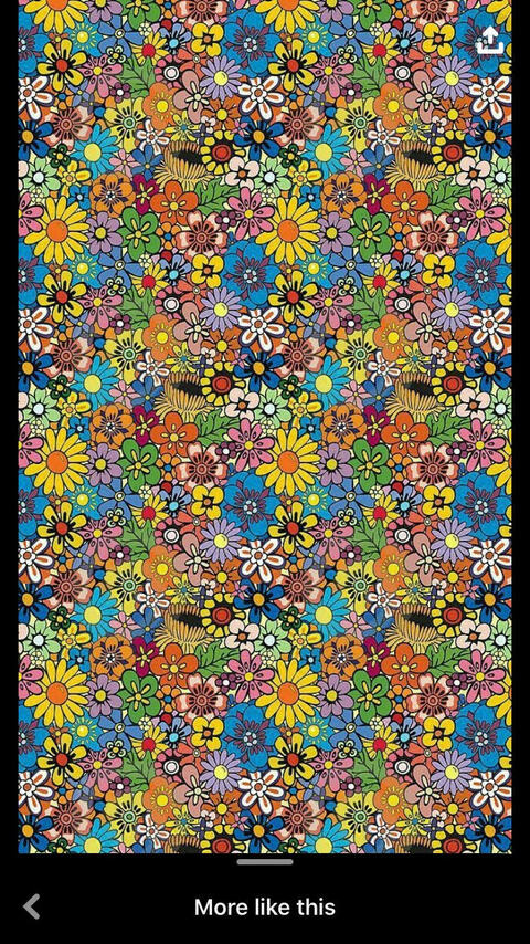 dirtyhippie_ header picture leakfans.com