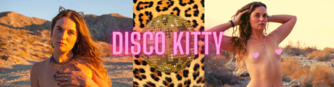 Header of discokittymeow