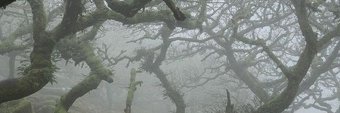 ditsyaddison header picture leakfans.com