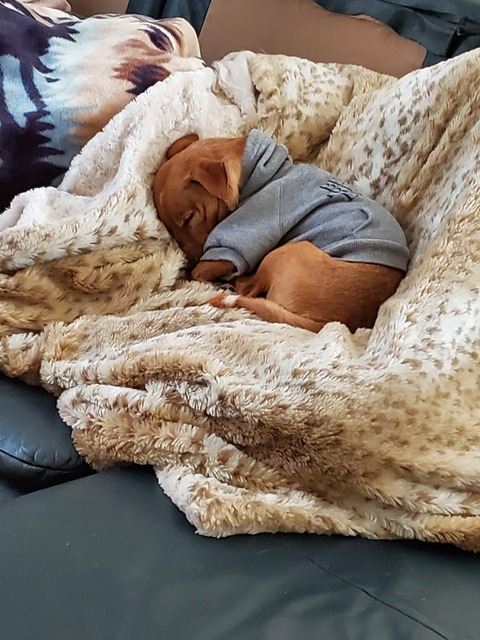 divin326 header picture leakfans.com