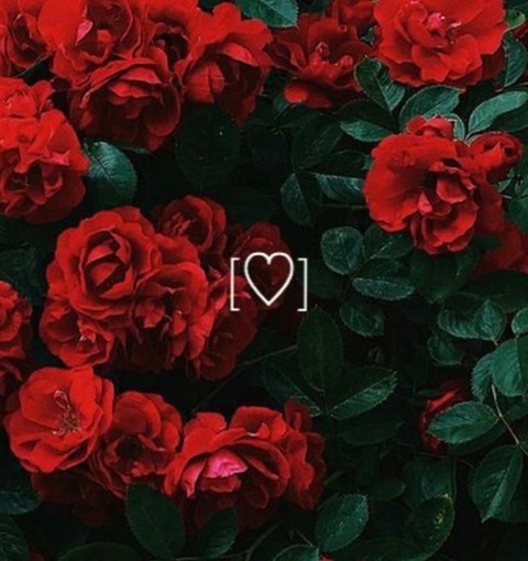 divinerose222x header picture leakfans.com