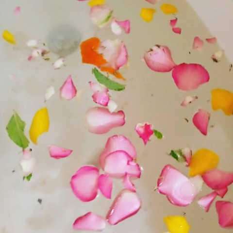 dizzyrayz header picture leakfans.com