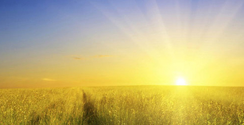 dkc29 header picture leakfans.com