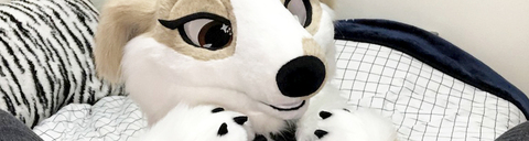 Header of dogbutt