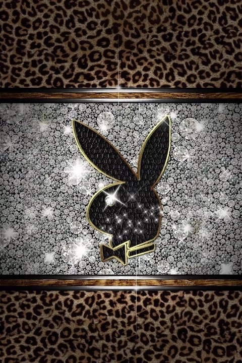 doll.bhabie header picture leakfans.com