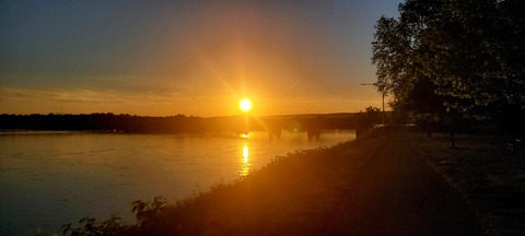 domguy8536 header picture leakfans.com