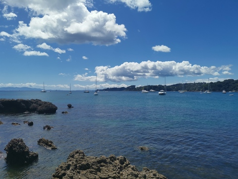 donkeyshlongx header picture leakfans.com