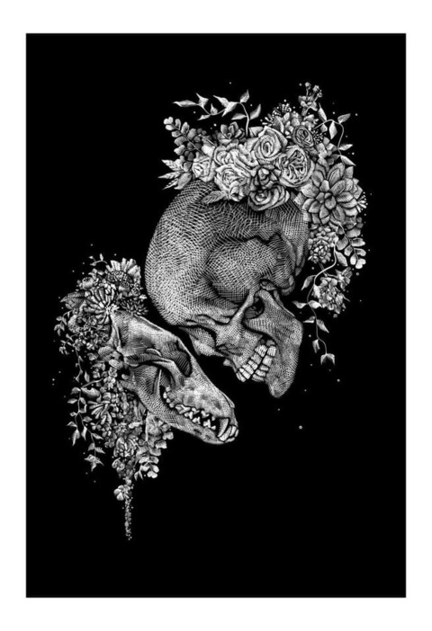 dragonprincess69 header picture leakfans.com