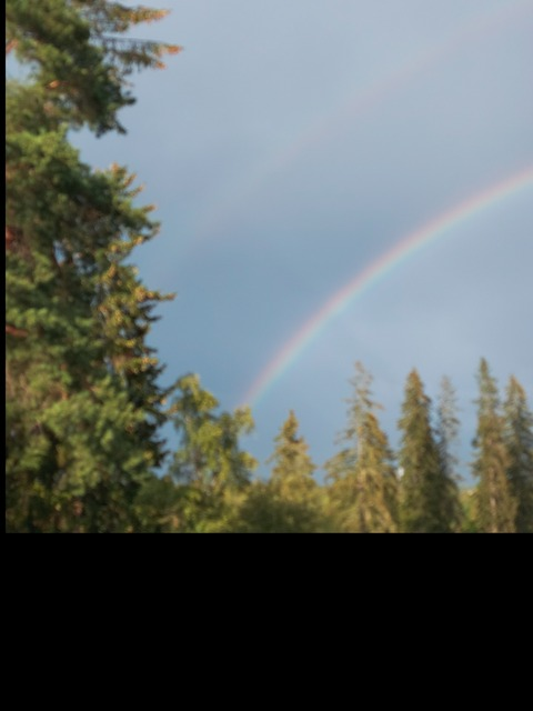 dreamy_luna header picture leakfans.com