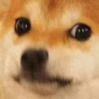 dreianova profile picture leakfans.com