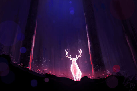 dreianova header picture leakfans.com