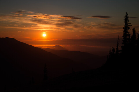 dremati_z header picture leakfans.com