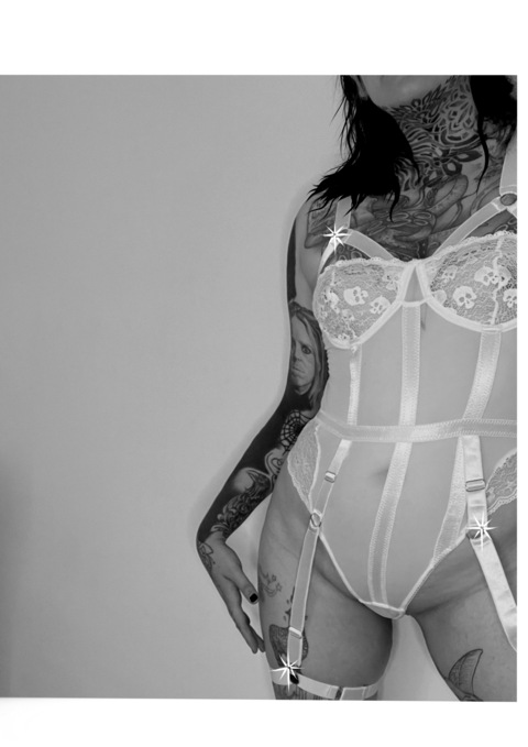 dropped-lasagne header picture leakfans.com