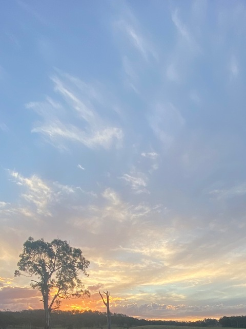 druzyyyyy header picture leakfans.com