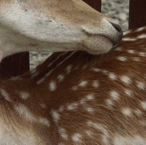 e4tshit header picture leakfans.com