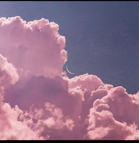 earthhoney header picture leakfans.com