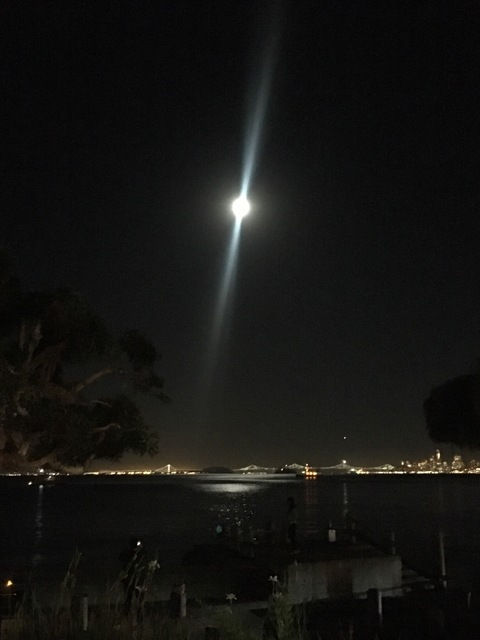 edgedmuscleboy header picture leakfans.com