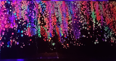 edwinperaltasd header picture leakfans.com