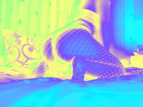 electraaauh header picture leakfans.com