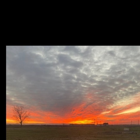 elena.elena header picture leakfans.com