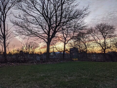 elenore_nova header picture leakfans.com